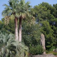 Photo de France - Le Jardin de Saint-Adrien : une oasis de verdure